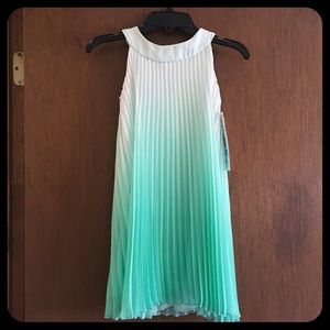 BNWT Rare Editions Pleated Dress blue white ombré